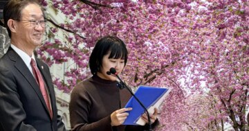Kırşehir’de sakura rüzgarı. Japon büyükelçi de festivalde