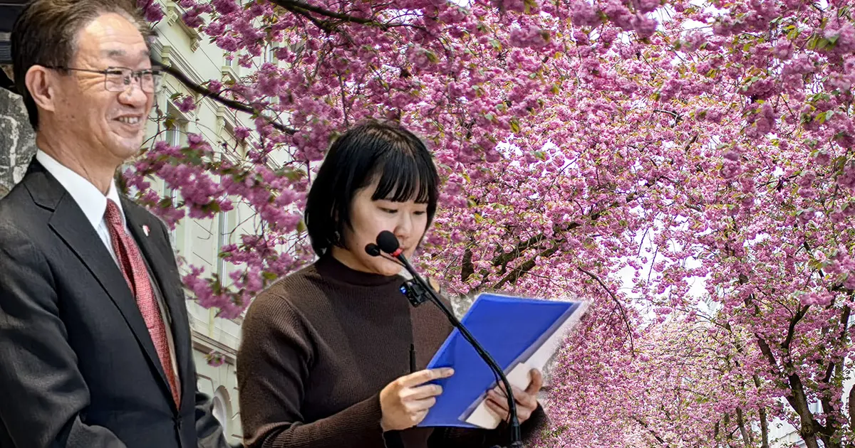 Kırşehir’de sakura rüzgarı. Japon büyükelçi de festivalde