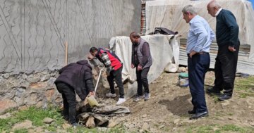 3 metrelik yılan mahalleyi korkuttu. Belediye ekipleri müdahale etti
