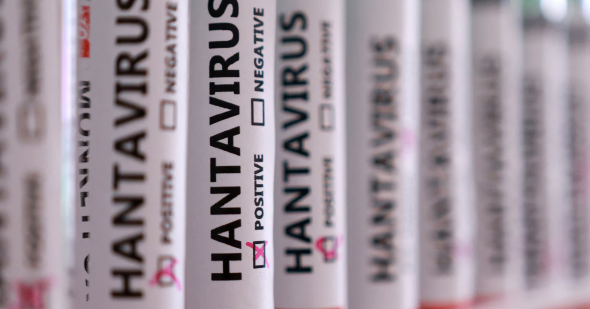 Hantavirüste hangi meslekler daha fazla risk altında?
