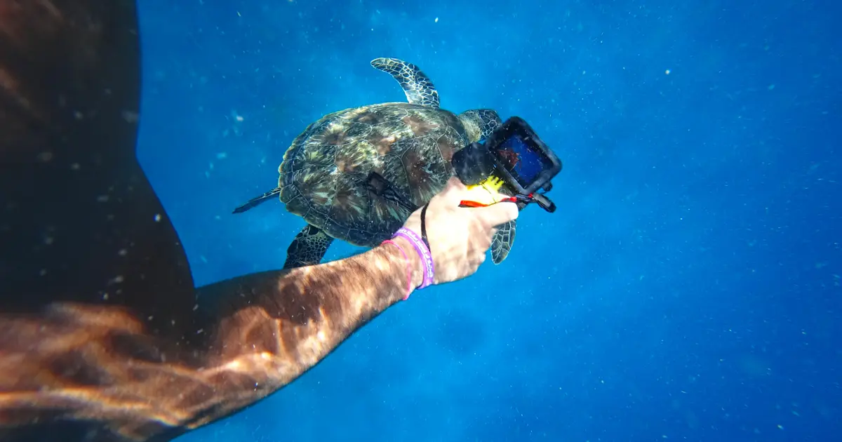 GoPro satılıyor. Çinlilerle mücadele edemedi