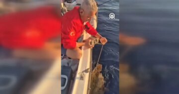 Vicdansızlık pes dedirtti: Ayağına taş bağlanan caretta caretta kurtarıldı