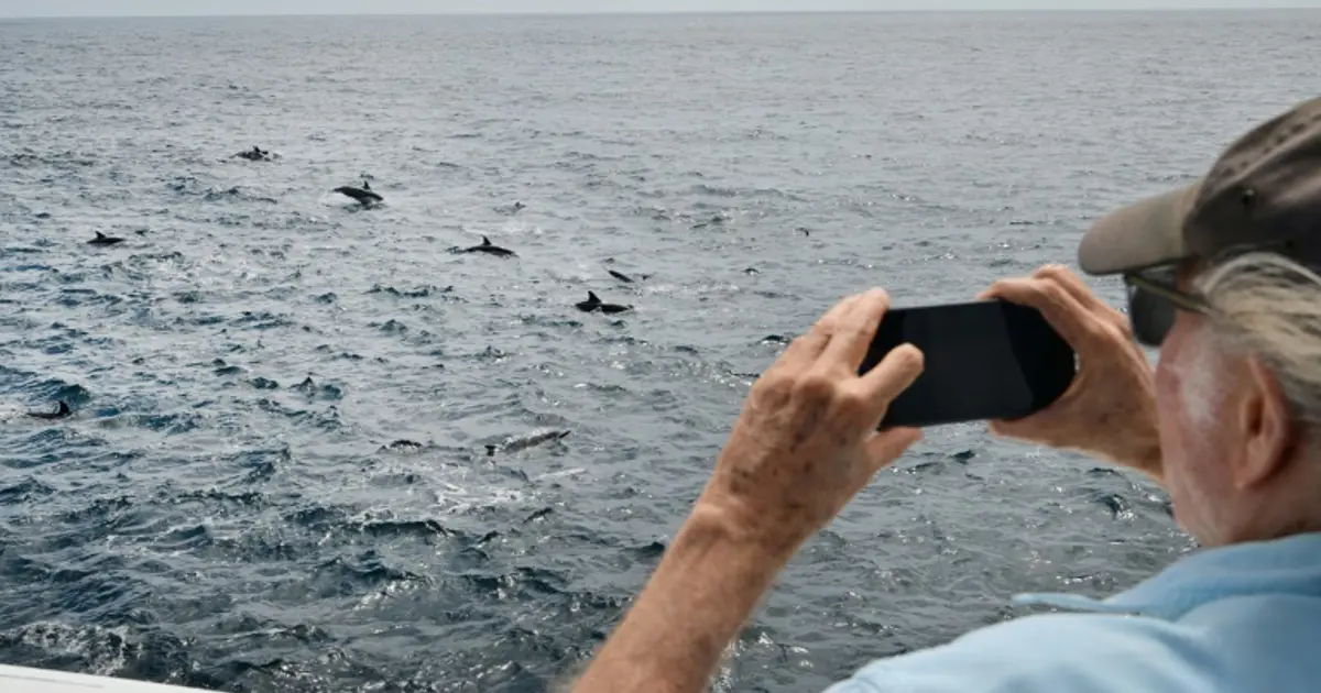 Aşırı sıcaklar deniz canlılarının yaşam alanlarını kökten değiştiriyor