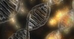 Çin’de çocuk ölümüne neden olan genetik deney iddialarına yönelik araştırma başlatıldı