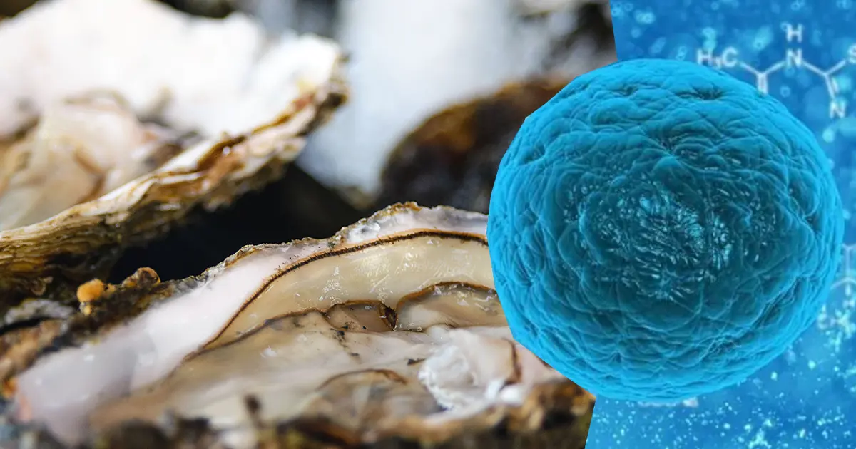 Bağırsaklardaki iltihabı temizliyor, hücreleri yeniliyor. Doğanın yağsız protein kaynağı