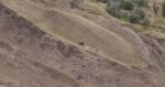 Ağrı Dağı’nda gizemli boşluklar… Nuh’un Gemisi olabilir mi?