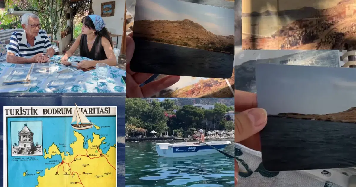 Bodrum’dan “yanlışlıkla” aldığı araziyi ormana dönüştürdü