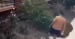 İzmir’de yavrulu kediye tekme atan saldırgan yakalandı
