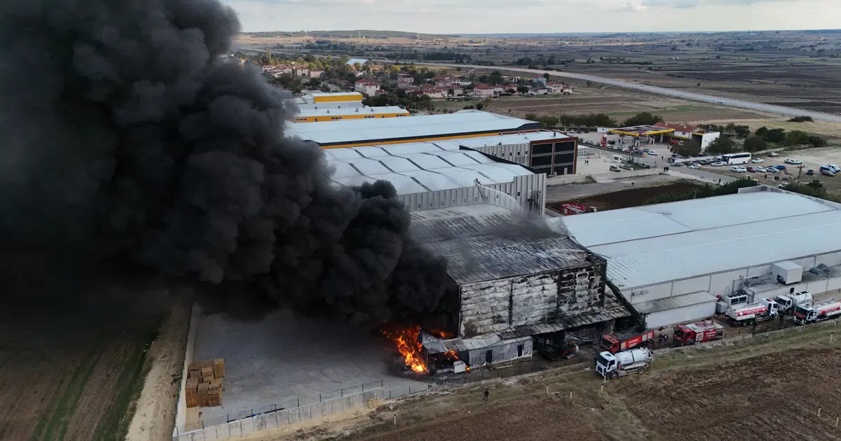 Kırklareli’nde ilaç fabrikasında yangın | NTV Haber